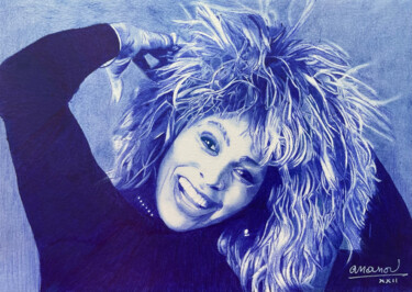 "Tina Turner" başlıklı Resim Ananou tarafından, Orijinal sanat, Tükenmez kalem