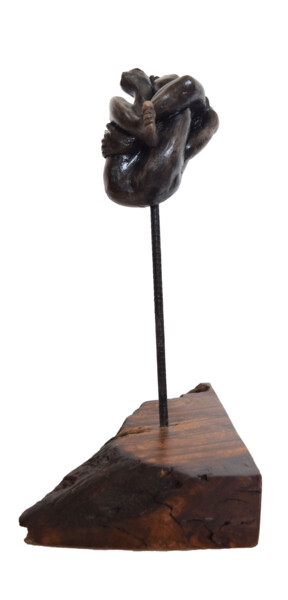 Sculpture intitulée "Tangeled" par Ana Paula Luna, Œuvre d'art originale, Céramique