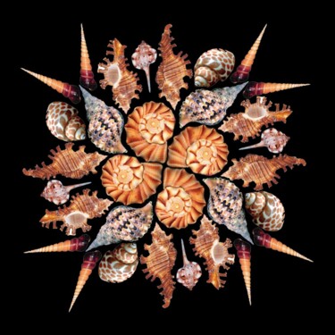 Arte digitale intitolato "Shell mandala" da Anastasia Gogol, Opera d'arte originale, Fotomontaggio