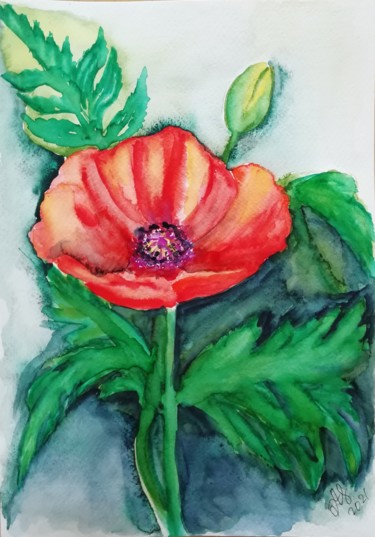 Painting titled "Blühender Mohn, Moh…" by Anastasia_art, Original Artwork, Watercolor