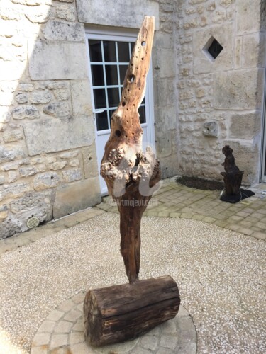 Sculpture intitulée "Anatole bois flotté" par Anatole63, Œuvre d'art originale