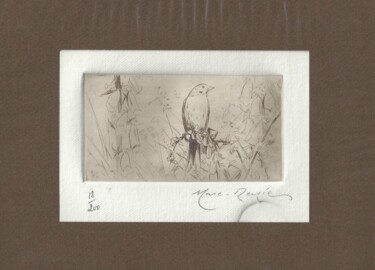 Gravures & estampes intitulée ""Oiseau" de Marc-Ré…" par André Colpin, Œuvre d'art originale, Eau-forte