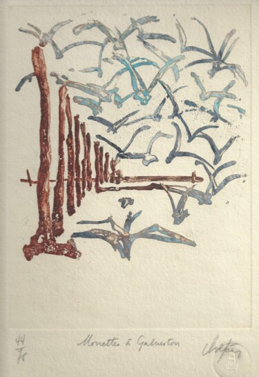 Impressões e gravuras intitulada "Mouettes à Galveston" por André Colpin, Obras de arte originais, Água forte