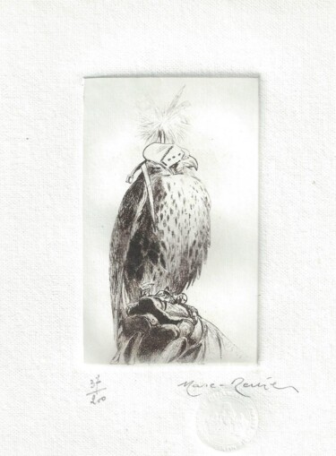 Obrazy i ryciny zatytułowany „"Oiseau de proie" d…” autorstwa André Colpin, Oryginalna praca, Akwaforta