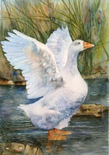 Peinture intitulée "«Fierté de l'oie du…" par André Farnier, Œuvre d'art originale, Aquarelle