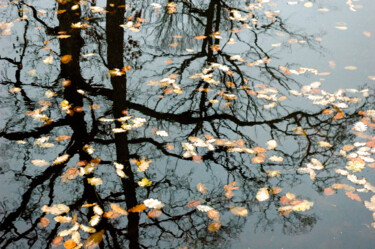 Photography titled "Les reflets ..." by André Martin, Original Artwork, Non Manipulated Photography