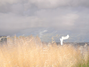 Fotografía titulada "Marsh Song III" por André Pillay, Obra de arte original, Fotografía manipulada