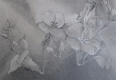 Σχέδιο με τίτλο "fleurs" από Andre Rollet, Αυθεντικά έργα τέχνης, Μολύβι