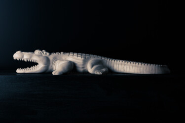 Sculpture intitulée "Crocodile" par Andrea Gardini, Œuvre d'art originale, Pierre