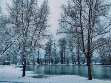 Fotografia intitolato "Winterlandschaft" da Andrea Meister, Opera d'arte originale, Fotografia digitale