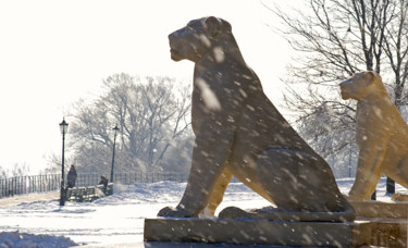摄影 标题为“Снежный лев” 由Andrey Petrosyan, 原创艺术品, 数码摄影