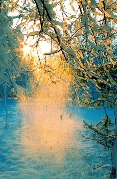 摄影 标题为“Морозный закат” 由Andrey Petrosyan, 原创艺术品, 电影摄影