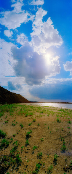 Фотография под названием "Летний полдень" - Andrey Petrosyan, Подлинное произведение искусства, Пленочная фотография