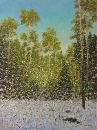Painting titled "В хвойном лесу" by Andrei Abramov (Andrei Liumes), Original Artwork, Oil