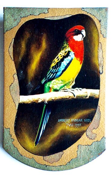 Malarstwo zatytułowany „Parrot 3” autorstwa Andrzej Huniak, Oryginalna praca
