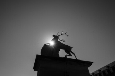 Fotografia intitulada "Roaring Deer" por Andy Ridder, Obras de arte originais, Fotografia digital