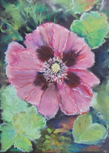 Painting titled "Pink Poppy" by Angelika Scheibler, Original Artwork, Pastel