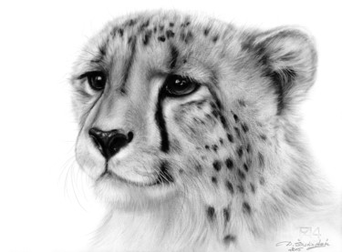 "Cheetah" başlıklı Tablo Danguole Serstinskaja tarafından, Orijinal sanat, Petrol