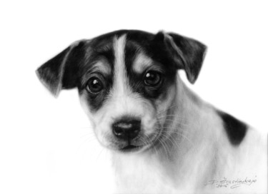 Ζωγραφική με τίτλο "Jack Russel Terrier" από Danguole Serstinskaja, Αυθεντικά έργα τέχνης, Λάδι