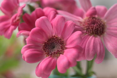 Photographie intitulée "Pink flower" par Sonja, Œuvre d'art originale