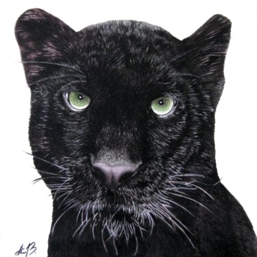 Painting titled "Black Panther" by Anita Burnaz, Original Artwork, Watercolor