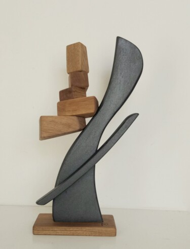 Sculptuur getiteld "Forme sinuose" door Anna Beltrame A＋D Art, Origineel Kunstwerk, Hout