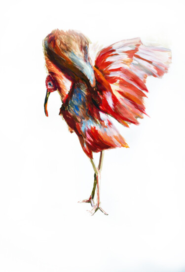 Painting titled "Fancy ibis" by Anna Brazhnikova, Original Artwork, Tempera