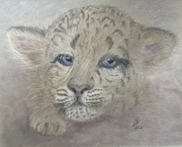 Dibujo titulada "Snow leopard cub" por Anna Killinger, Obra de arte original, Lápiz