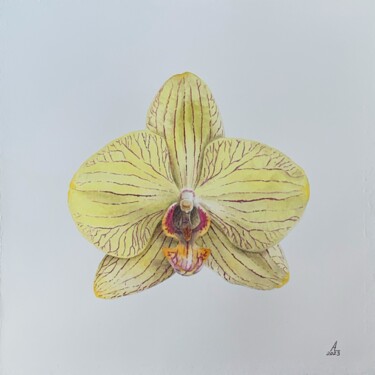 Картина под названием "Yellow orchid" - Anna Levchuk, Подлинное произведение искусства, Акварель