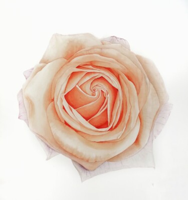 Картина под названием "Пудровая роза" - Анна Махова, Подлинное произведение искусства, Акварель