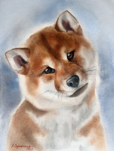 Painting titled "Shiba Inu" by Anna Spiridonova, Original Artwork, Watercolor