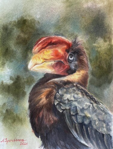 Pintura intitulada "Rufous hornbill" por Anna Spiridonova, Obras de arte originais, Aquarela