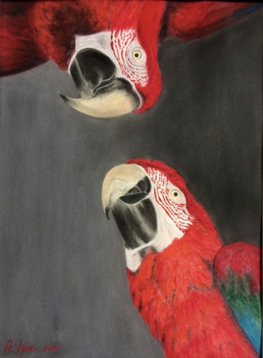 Painting titled "Scarlet macaw" by Anna Isaac, Original Artwork, Pastel