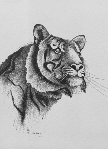 Desenho intitulada "Tigre" por Annabel Klein, Obras de arte originais, Tinta