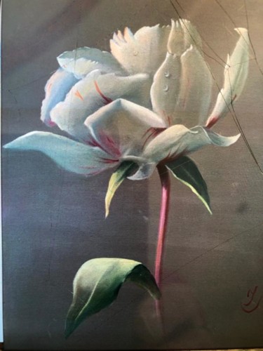 Malerei mit dem Titel "Белый пион" von Irina Surgunte, Original-Kunstwerk, Öl