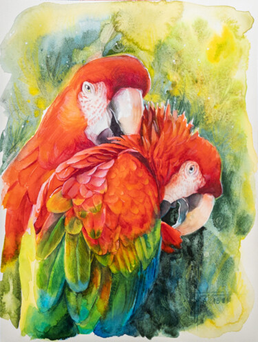 Painting titled ""Ara de Parс Phoeni…" by Anna Ivanova, Original Artwork, Watercolor