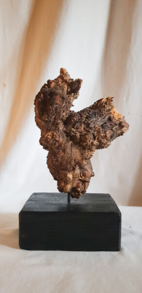 Sculpture intitulée "Météore" par Annbo, Œuvre d'art originale, Bois