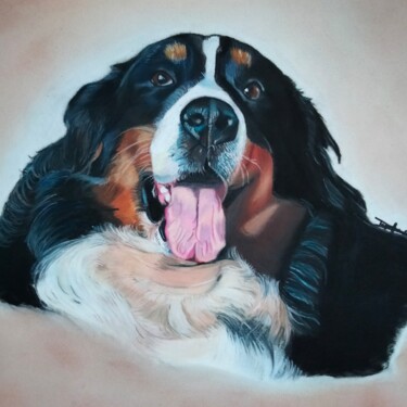 Dibujo titulada "Bouvier bernois" por Anne Degremont, Obra de arte original, Pastel