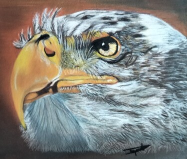 Rysunek zatytułowany „Eagle” autorstwa Anne Degremont, Oryginalna praca, Pastel