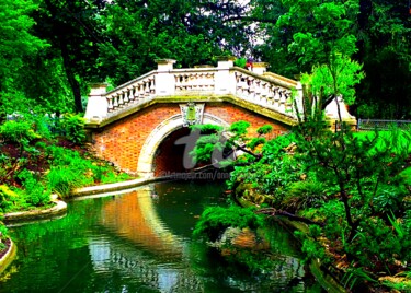 "Paris a son jardin…" başlıklı Fotoğraf Anne D'Orion tarafından, Orijinal sanat