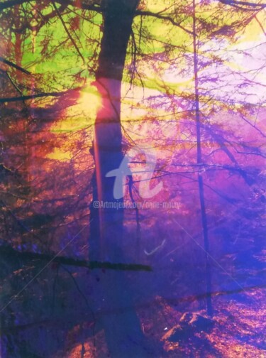 Collagen mit dem Titel "Forêt lumière du so…" von Anne Maury, Original-Kunstwerk, 2D digitale Arbeit