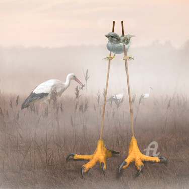 Arte digitale intitolato "De Grootste Vogel" da Anneke Bloema, Opera d'arte originale, Fotomontaggio