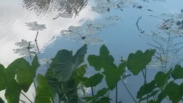 Photographie intitulée "Réflexion - Annick…" par Annick Bouhan, Œuvre d'art originale