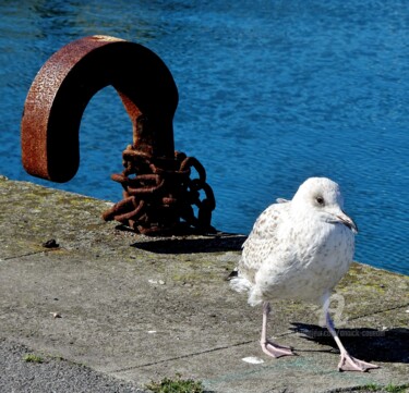 Photographie intitulée "N'INSISTE PAS, JE P…" par Annick Couëdel, Œuvre d'art originale