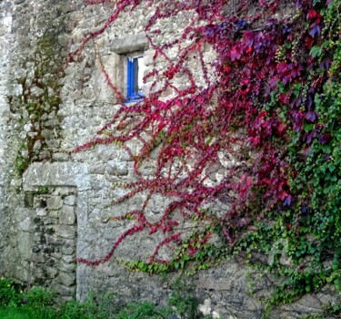 Photography titled "VENT D'AUTOMNE" by Annick Couëdel, Original Artwork, Non Manipulated Photography