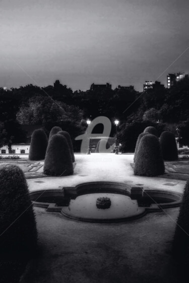 Φωτογραφία με τίτλο "Night Park" από Anthony Oliver, Αυθεντικά έργα τέχνης