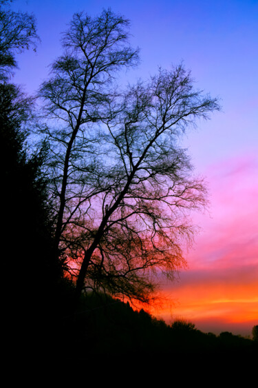 Photography titled ""Sunset" dans les V…" by Antoine Heid, Original Artwork, Digital Photography