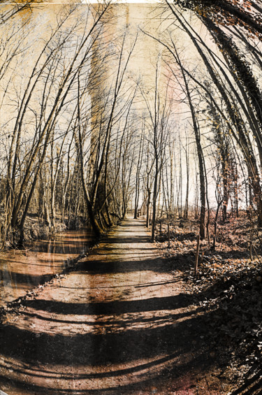Photography titled "chemin" by Antoine Marelle, Original Artwork, Manipulated Photography