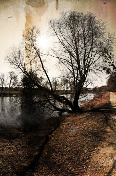 Photography titled "nature" by Antoine Marelle, Original Artwork, Manipulated Photography