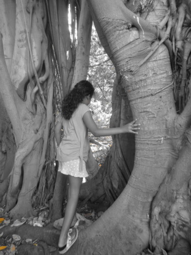 Fotografie getiteld "Dentro l'albero" door Antonella Cannata, Origineel Kunstwerk, Digitale fotografie